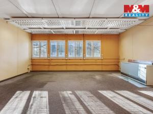Prodej obchodního prostoru, Příbram - Příbram I, Gen. R. Tesaříka, 511 m2