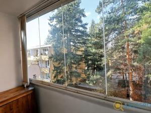 Prodej bytu 2+1, Brno, Foerstrova, 62 m2