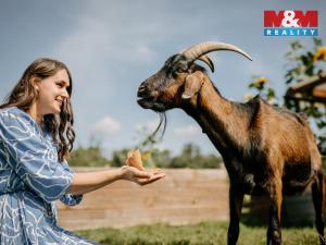Prodej komerčního pozemku, Sušice - Divišov, 4292 m2
