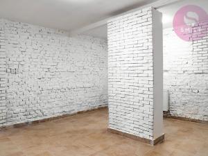 Pronájem obchodního prostoru, Ostrava, Hladnovská, 250 m2