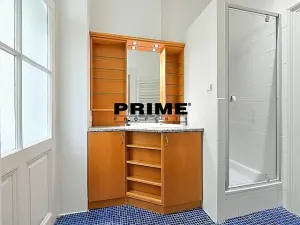 Pronájem bytu 3+kk, Praha - Vinohrady, Mánesova, 118 m2