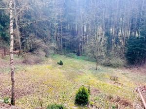 Prodej chalupy, Rychnov u Jablonce nad Nisou, 160 m2