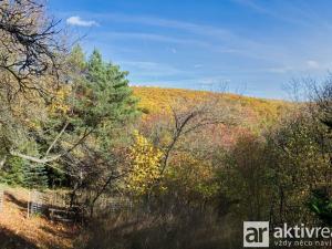 Prodej zahrady, Brno, Jámy, 2116 m2