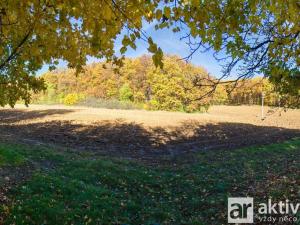 Prodej zahrady, Brno, Jámy, 2116 m2