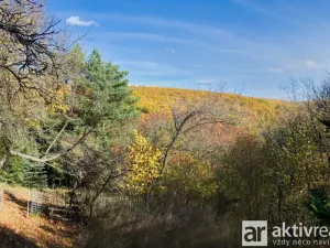 Prodej zahrady, Brno, Jámy, 2116 m2