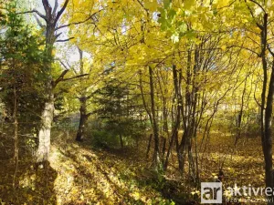 Prodej zahrady, Brno, Jámy, 2116 m2