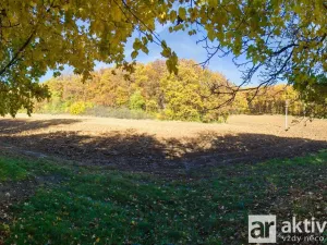 Prodej zahrady, Brno, Jámy, 2116 m2