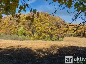 Prodej zahrady, Brno, Jámy, 2116 m2