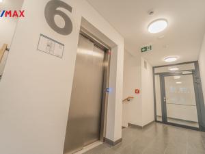 Pronájem bytu 1+kk, Praha - Žižkov, Olgy Havlové, 32 m2