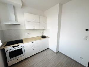 Prodej bytu 2+1, Břeclav, Riegrova, 54 m2