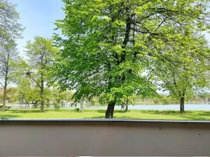 Prodej činžovního domu, Duchcov, Husova, 2493 m2