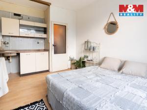 Prodej bytu 1+kk, Frýdlant, Školní, 18 m2