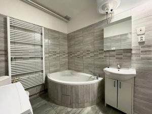 Pronájem bytu 1+kk, Liberec, Rumjancevova, 25 m2