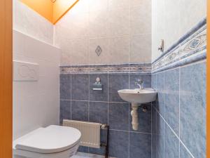 Pronájem rodinného domu, Mnichovo Hradiště, Lomená, 236 m2