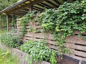 Prodej bytu 2+1, Smržovka, Klášterní, 65 m2