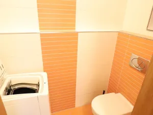 Pronájem bytu 1+kk, Praha - Hloubětín, Nademlejnská, 32 m2