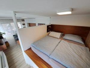 Prodej bytu 2+kk, Brno, Veslařská, 62 m2