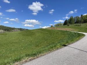 Prodej pole, Pecka, 10031 m2