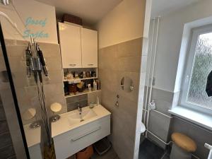 Prodej bytu 2+1, Brno, Provazníkova, 55 m2