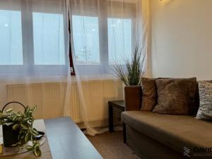 Pronájem bytu 1+kk, Brno - Veveří, Gorkého, 61 m2