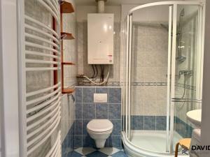 Pronájem bytu 1+kk, Brno - Veveří, Gorkého, 61 m2