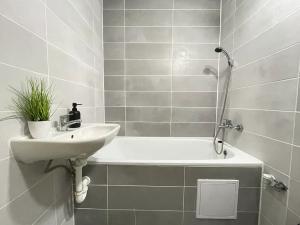 Pronájem bytu 2+1, Litvínov, Podkrušnohorská, 50 m2