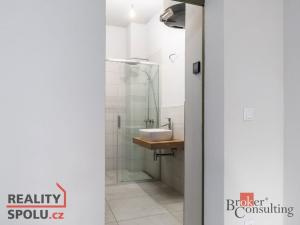 Pronájem bytu 2+kk, Praha - Žižkov, Jičínská, 61 m2