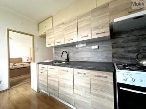 Pronájem bytu 2+1, Teplice, Libušina, 54 m2