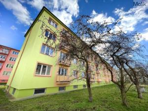 Pronájem bytu 2+1, Teplice, Libušina, 54 m2