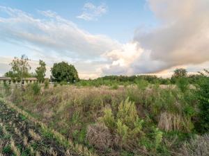 Prodej pozemku pro bydlení, Smidary, J. A. Komenského, 6666 m2