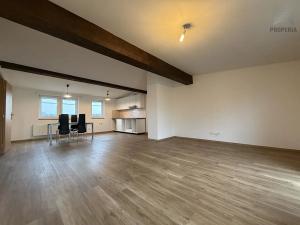 Pronájem bytu 2+kk, Brno, Elišky Krásnohorské, 78 m2