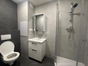 Pronájem bytu 2+1, Chomutov, Mjr. Šulce, 52 m2