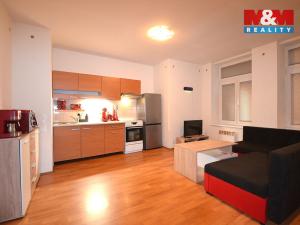 Pronájem bytu 1+kk, Vlčice, 50 m2