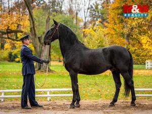 Prodej chaty, Slatiňany - Kunčí, 36 m2