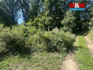 Prodej lesa, Vysoká Pec - Drmaly, 4812 m2