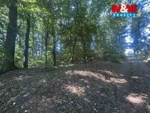 Prodej lesa, Vysoká Pec - Drmaly, 4812 m2