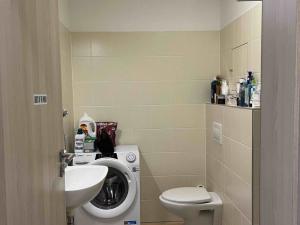 Pronájem bytu 1+kk, České Budějovice - České Budějovice 2, Volejbalistů, 28 m2