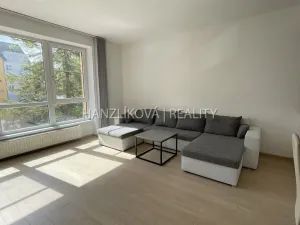Pronájem bytu 3+kk, České Budějovice - České Budějovice 3, B. Smetany, 86 m2