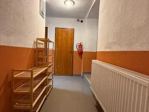 Pronájem atypického bytu, Strmilov - Česká Olešná, 100 m2