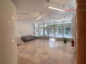 Pronájem bytu 1+kk, Brno, Rakovecká, 22 m2