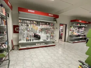 Pronájem obchodního prostoru, Jirny, Tovární, 256 m2