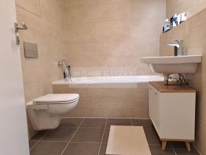 Pronájem bytu 2+kk, Praha - Žižkov, Olgy Havlové, 52 m2