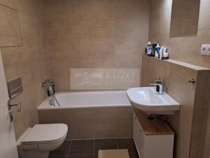 Pronájem bytu 2+kk, Praha - Žižkov, Olgy Havlové, 52 m2