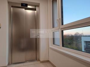 Pronájem bytu 2+kk, Praha - Žižkov, Olgy Havlové, 52 m2