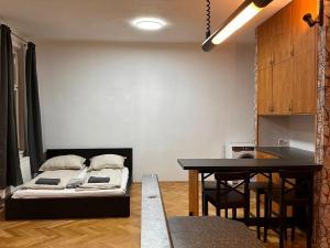 Pronájem bytu 2+kk, Praha - Žižkov, Husinecká, 75 m2