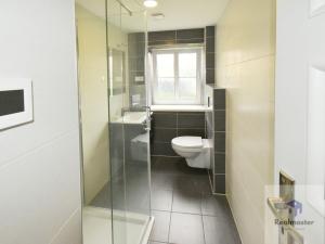 Pronájem bytu 3+kk, Litvínov - Horní Litvínov, Dvořákova, 76 m2