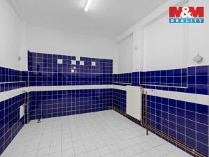 Pronájem obchodního prostoru, Kladno, Kordačova, 350 m2