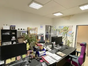 Pronájem obchodního prostoru, Jirny, Tovární, 506 m2