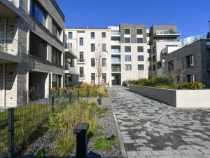 Pronájem bytu 2+kk, Praha - Holešovice, U průhonu, 44 m2