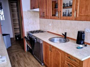 Pronájem bytu 2+1, Děčín - Děčín III-Staré Město, Oblouková, 64 m2